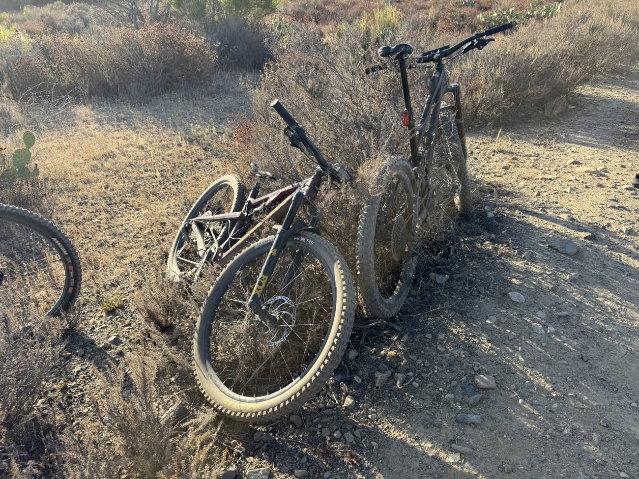 Two dusty, well-ridden mountain bikes resting in the brush