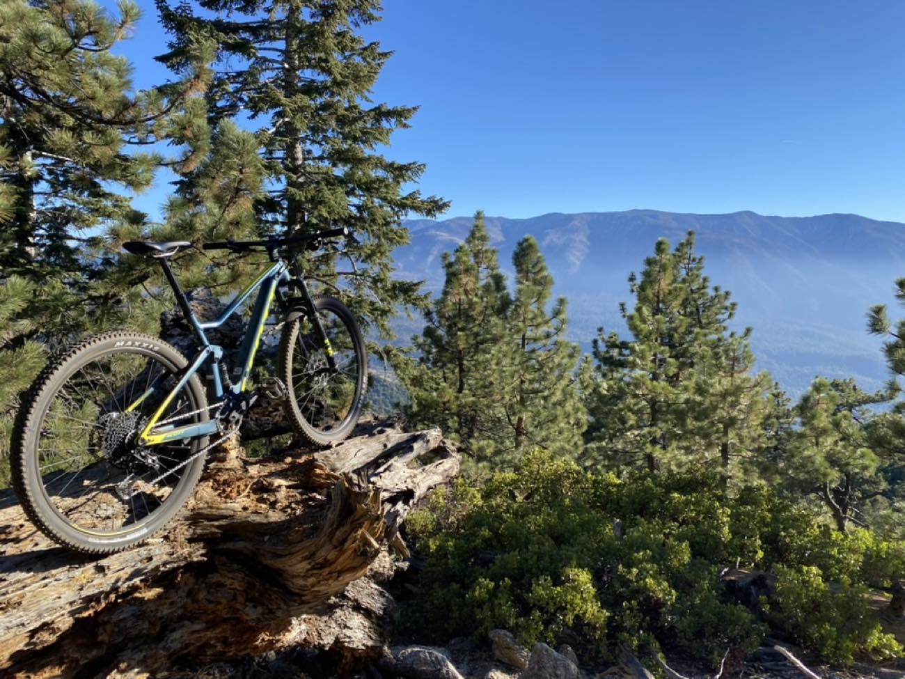 Full-suspension mountain bike on a fallen log with pine forest and mountains behind